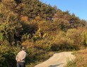 '농촌 사람들이 내게 불친절 이유'를 거론한 후