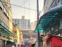 집창촌 벗어난 순둥순둥한 수정 씨