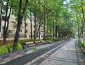 인천시, 중·서구 4개 초등학교 자녀안심 그린숲 조성
