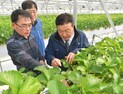 충남도, 3조원 투자 유치…6개 시·군에 16개 기업 공장 신·증설 [힘쎈충남 소식]