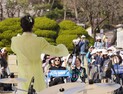 '꽃피는 봄' 청와대로 떠나는 문화 여행 
