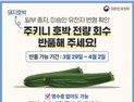 주키니 호박 오늘 출하 재개… 변형 양성농가 17곳 폐기