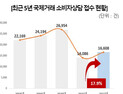 해외여행 소비자 상담 급증…