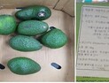 식약처 