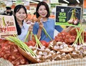 하나로마트, '햇 주대 마늘' 할인 판매