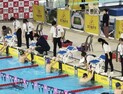 충남교육청, 전국장애학생체육대회 3일차 80개 메달 거머줘