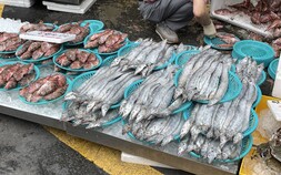 “가게 앞에서 후쿠시마 오염수 얘기”…한숨 느는 상인들 [방류 초읽기③]