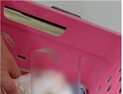 엄마 엄마 엄마 엄마...주워온 참새와 아이들