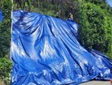 산사태, 이 달 6일부터 195건 발생…산림청 “신속 대피 집중”