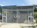 ‘탈출 암사자’ 농장주 처벌 관련 법령 없어…‘양수·양도 과태료’