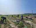 충남도립대, 수재민에게 폭염도 잊게 한 도움 손길