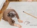 골다공증 약제 급여 확대로 노인 골절 막아야 [환우 울림]