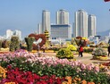 10월 3주간 창원서 가을 축제 '팡팡' [여기어때]