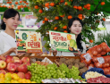 “살맛나는 가을 더 큰 세일!” 농협유통 통합 2주년