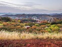 이번 주말이 ‘절정’…에버랜드 가을 단풍 7선 소개