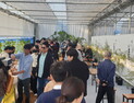 거제 섬꽃축제, 아열대작물 가공 상품 맛보기 체험·전시 '인기'