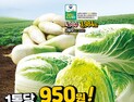 배추 1포기에 950원…이마트, 김장대전 실시