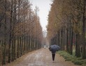 겨울비 내리는 서울