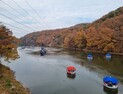함안 입곡군립공원 아라힐링카페 동절기 휴장 [함안소식]