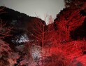 강원 대설특보 해제…지자체 제설작업 본격 나서