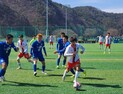 축구 메카도시 합천군 ‘2024 춘계 전국고등축구대회’ 성료