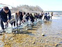 경북도, 울진 왕피천·영덕 오십천에 어린연어 65만마리 방류