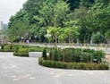 경기도, 도시숲 조성 471억 투입...미세먼지 대응 효과
