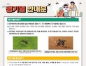 경북도, 해외 여행 ‘뎅기열’ 주의…고열·두통·발진 등 증상 
