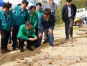 분산 사유림 규모화로 경제임업 실현 '선도 삼림경영단지'