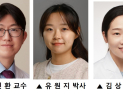 유방암·흑색종, ‘이 유전자’ 억제하니 항암제 내성 줄었다