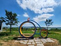 유채꽃 만발한 ‘삽교호~솔뫼성지’ 자전거 라이딩 코스 인기