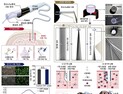 KAIST, 1년 이상 사용가능 '뇌-기계 인터페이스' 개발 