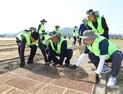 충남세종농협,  공주 육묘장 찾아 모판 만들기 구슬땀
