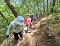 80년 비밀 간직한 파로호 '둘레길' 뚜벅이 투어 어때?