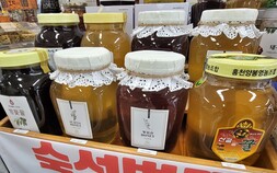 “사양꿀 합법화는 대국민 사기극”…판 키운 정부는 외면 [꿀벌을 찾아서①]