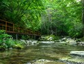 '트레킹 성지' 정선군 항골 안전보행 숲길 조성