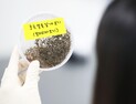 “여행 간 적 없는데…” 서울도 말라리아 ‘빨간불’