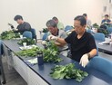평창군, 스마트팜 교육 '순항'…농업 전문인력 양성