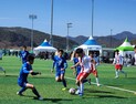 합천서 한국고등 축구 최강자 가린다