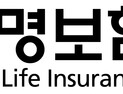 보험사, 고위험직군 순환근무 등 내부통제 강화키로