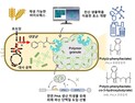 [쿠키과학] 미생물이 환경오염 유발 플라스틱 대체한다