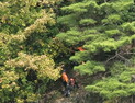 강원서 주말사이 산악사고 잇따라…60대 부부 등 8명 구조
