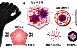 [쿠키과학] '부드러우면서 강력한 인공근육 개발'… 8배 신축성에 차량 하중도 견뎌