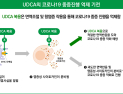 대웅제약 “우루사 주성분, 코로나19 중증 위험도 33% 낮춰”