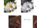 [쿠키과학] 인간 인지방식으로 학습하는 시각 AI 모델