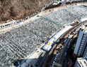화천산천어축제 '수질과 물고기' 안전성 이상무