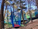 “설 연휴, 경북 청정 휴양림에서 ‘기(氣)’ 받아 가세요”