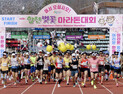 합천벚꽃마라톤대회, 전국을 대표하는 메이저급 마라톤대회로 자리매김
