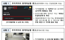 정부, '당근마켓' 부동산 거래시 집주인 실명인증 권고