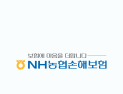 농협손보 지난해 순익 1036억원…전년比 8.6% 하락